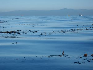 Clear Day by C.Parsons