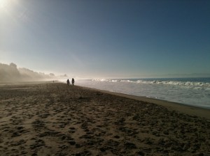 MBay Walk by Chris Parsons