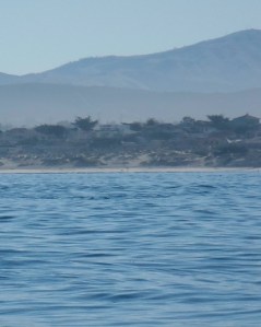 MBayInFeb2 by Chris Parsons