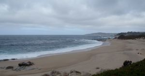 Carmel Bay by Chris Parsons