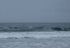 Gray March Day by Chris Parsons