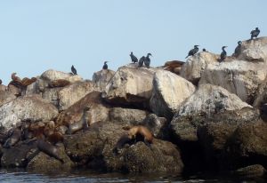 March Breakwater by Chris Parsons