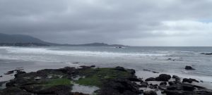 Peb Beach view of Pt. Lobos by Chris Parsons