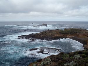 Point Lobos by Chris Parsons