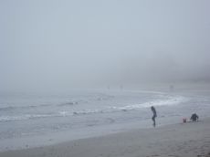 Summer fun fog by CM Parsons