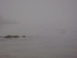Foggy shoreline