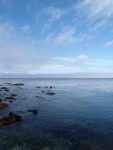 Celebrate Ocean by CM Parsons