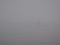 Paddleboard in Fog by CM Parsons