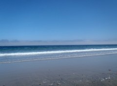 MBay Low Tide by CM Parsons