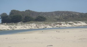 Mulligan's Hill and Salinas River