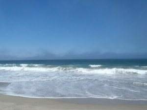 Fog at Salinas River State Beach