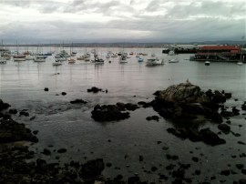 Harbor-Jan2013 by CMAParsons