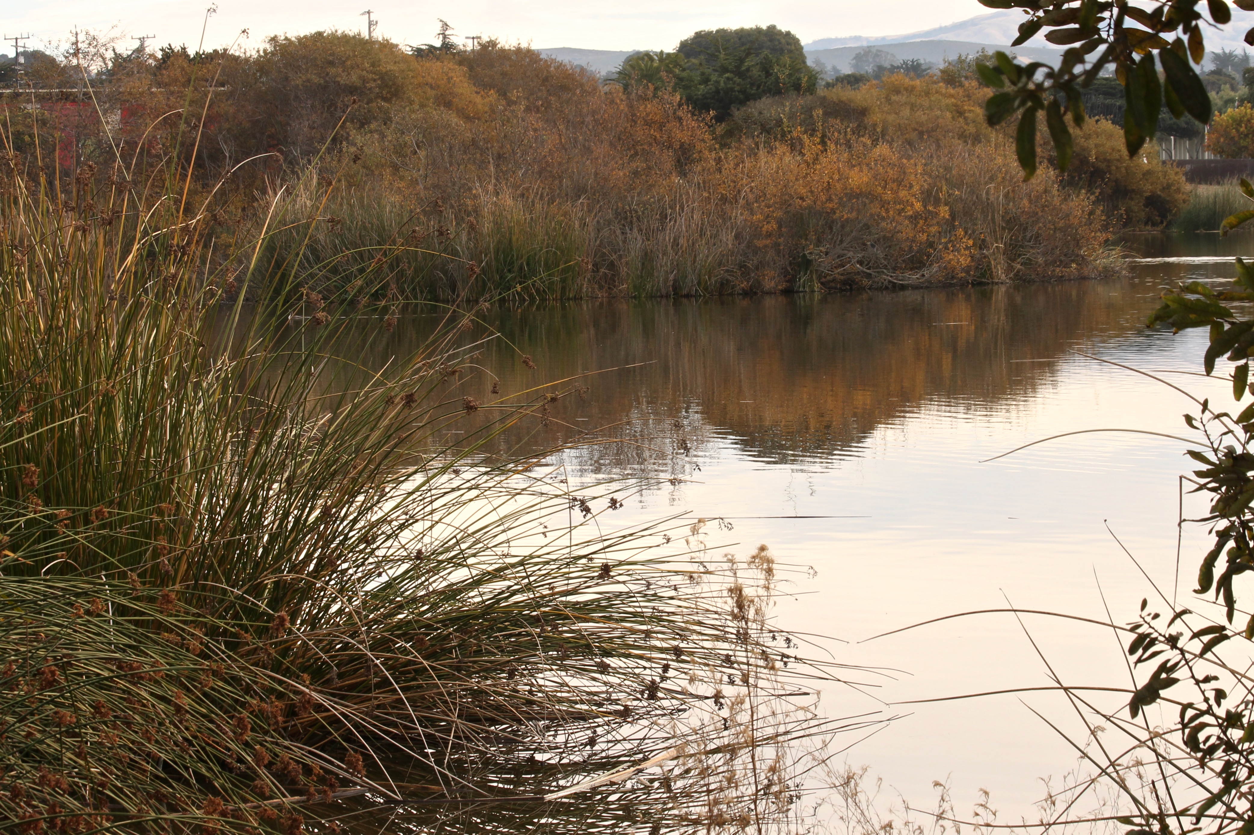 LagunaGrandeWinter 2018CMaParsons